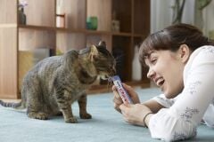 Ciao Churu Cream Ton Balıklı Kedi Ödül Kreması 4 x 14 Gr