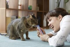 Ciao Churu Cream Tavuklu ve Deniz Taraklı Kedi Ödül Kreması 4 x 14 Gr